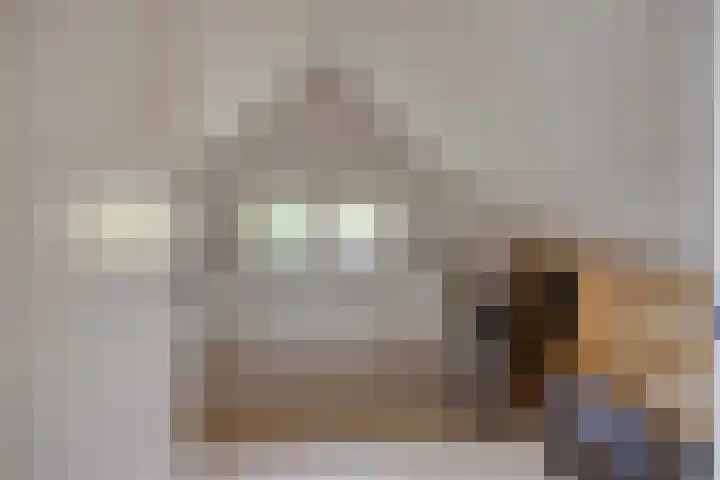 Nieuwstad 35 Vorden thumbnail 50