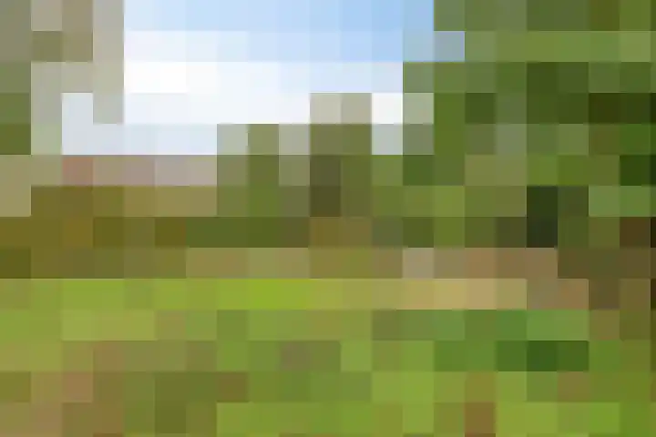 Nieuwstad 35 Vorden thumbnail 55
