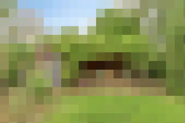 Nieuwstad 35 Vorden thumbnail 56