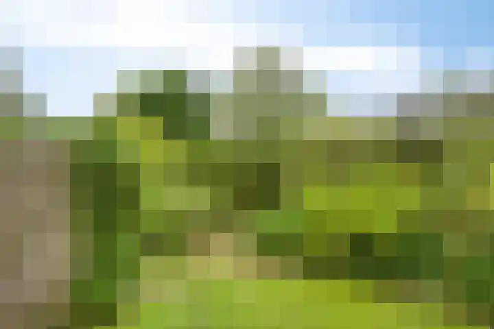 Nieuwstad 35 Vorden thumbnail 58