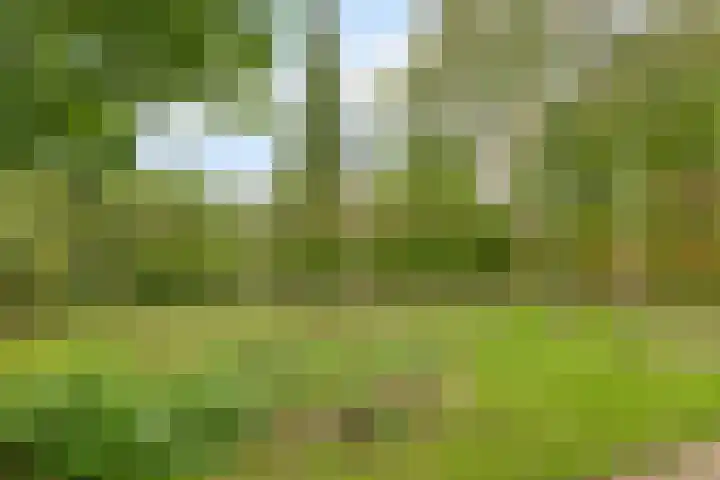 Nieuwstad 35 Vorden thumbnail 59