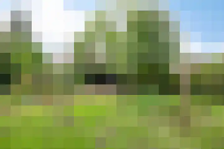 Nieuwstad 35 Vorden thumbnail 60