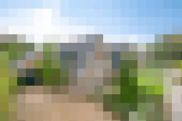Nieuwstad 35 Vorden thumbnail 65