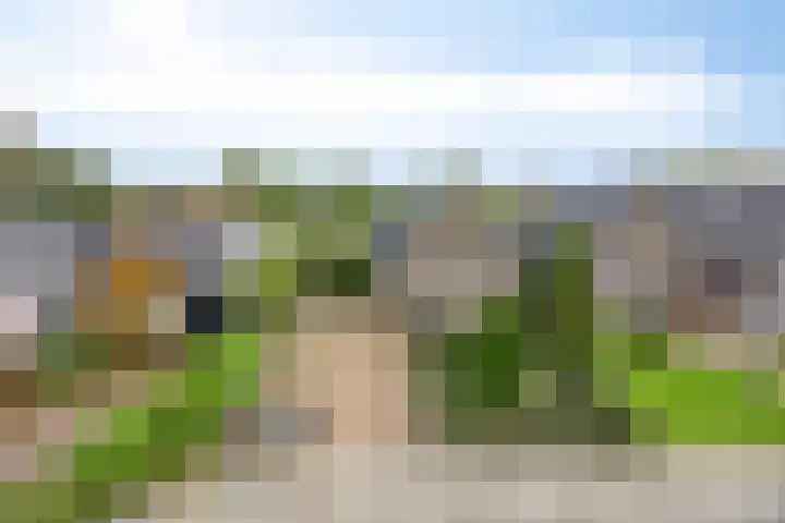 Nieuwstad 35 Vorden thumbnail 66