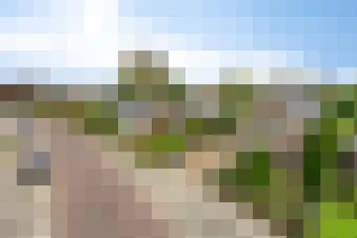 Nieuwstad 35 Vorden thumbnail 67