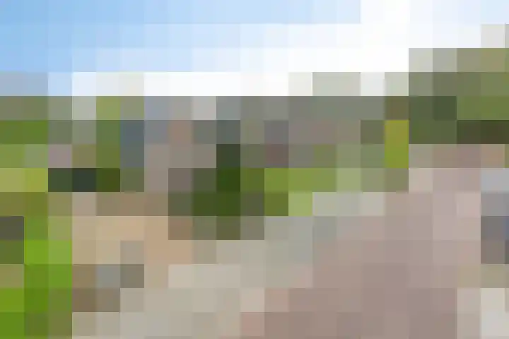 Nieuwstad 35 Vorden thumbnail 68