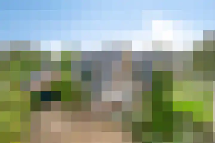 Nieuwstad 35 Vorden thumbnail 69