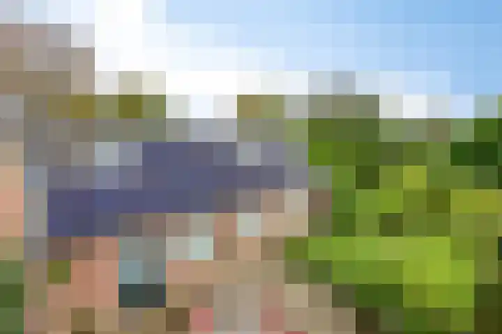 Nieuwstad 35 Vorden thumbnail 71