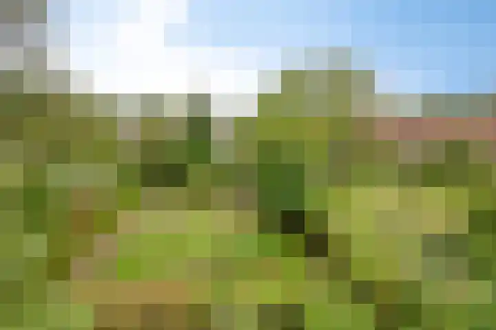 Nieuwstad 35 Vorden thumbnail 72