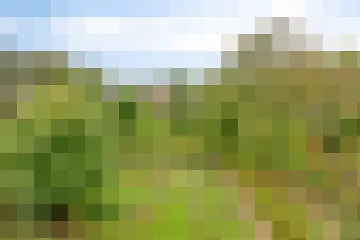 Nieuwstad 35 Vorden thumbnail 73