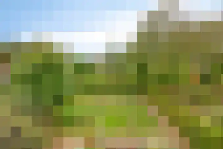 Nieuwstad 35 Vorden thumbnail 74