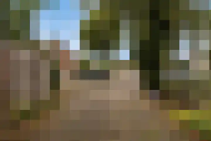 Nieuwstad 36 Lochem thumbnail 54