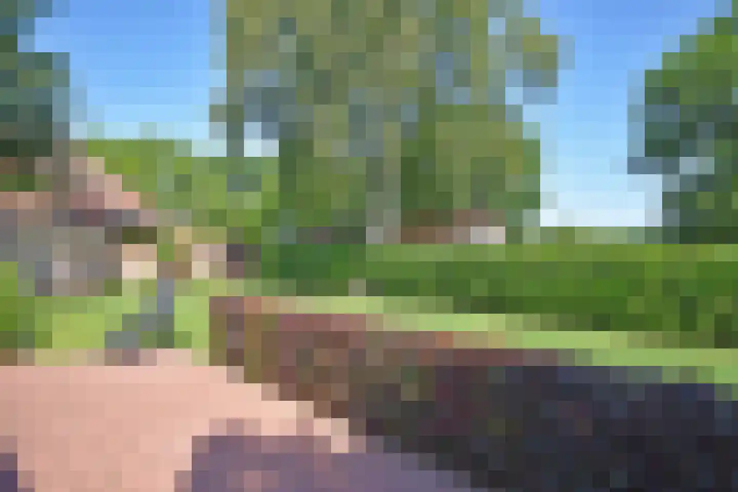 Nieuwstad 37 Burgum thumbnail 13