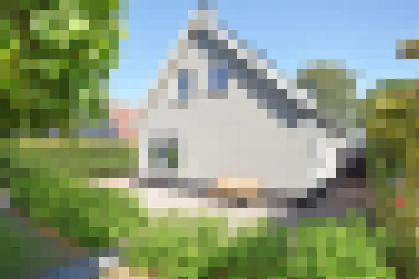Nieuwstad 37 Burgum thumbnail 4