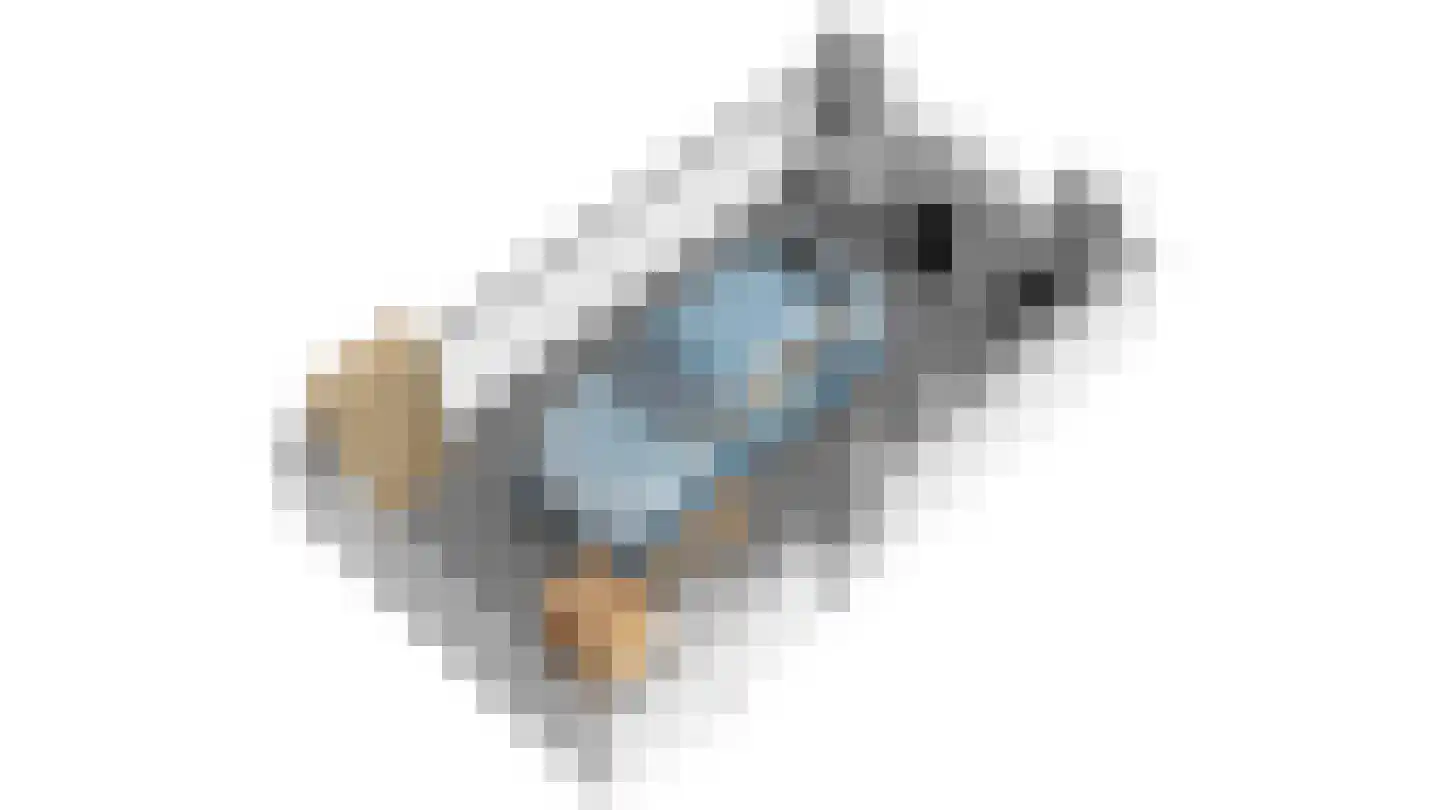 Nieuwstad 37 Burgum thumbnail 66