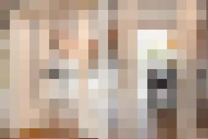 Nieuwstad 39 Vorden thumbnail 14