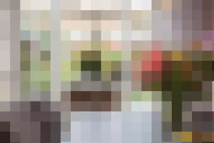 Nieuwstad 39 Vorden thumbnail 18