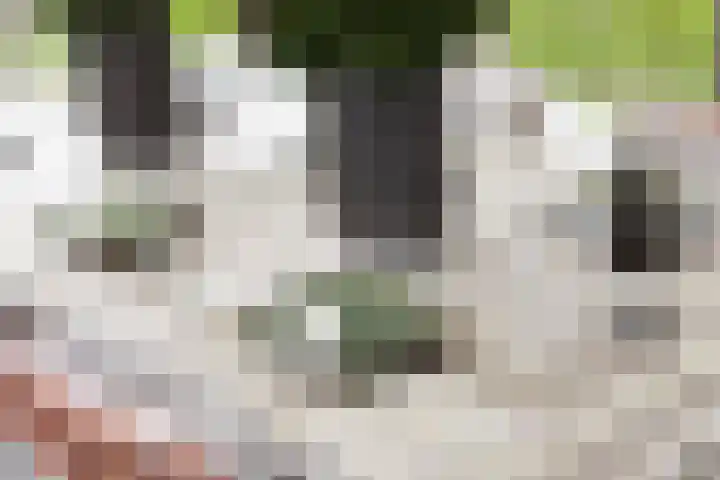 Nieuwstad 39 Vorden thumbnail 19