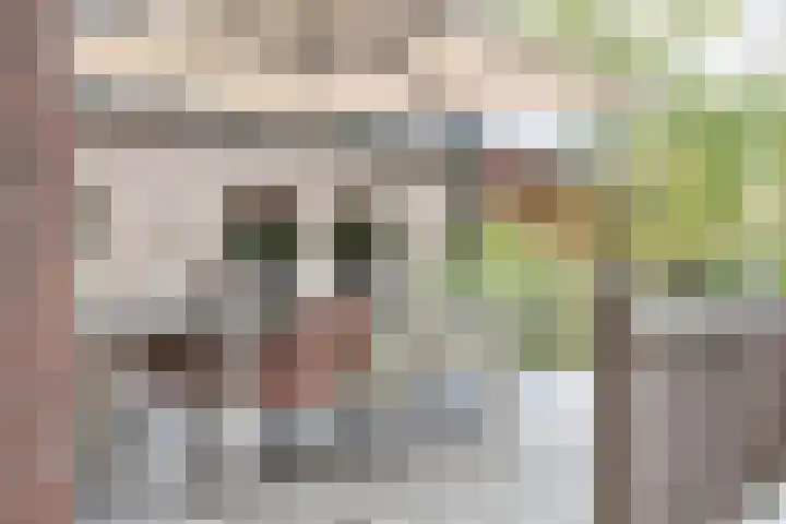 Nieuwstad 39 Vorden thumbnail 20