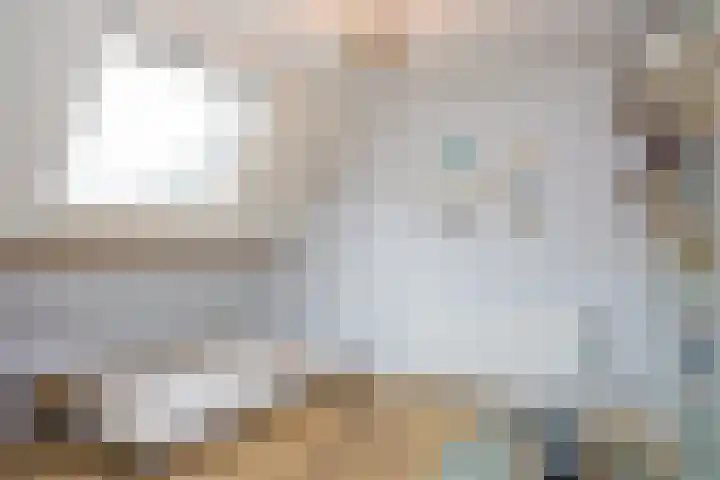 Nieuwstad 39 Vorden thumbnail 33