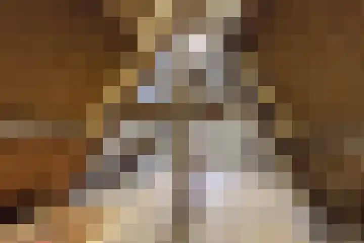 Nieuwstad 39 Vorden thumbnail 37