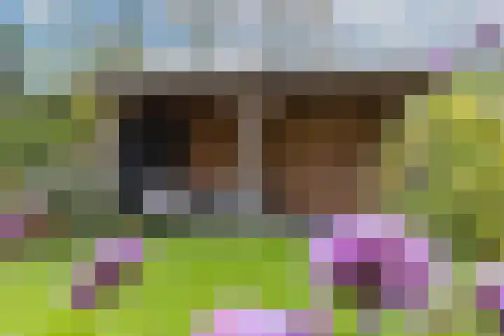 Nieuwstad 39 Vorden thumbnail 39