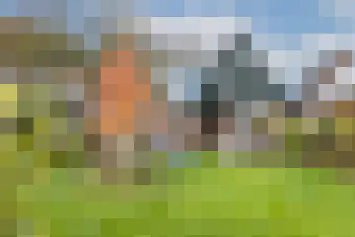 Nieuwstad 39 Vorden thumbnail 4