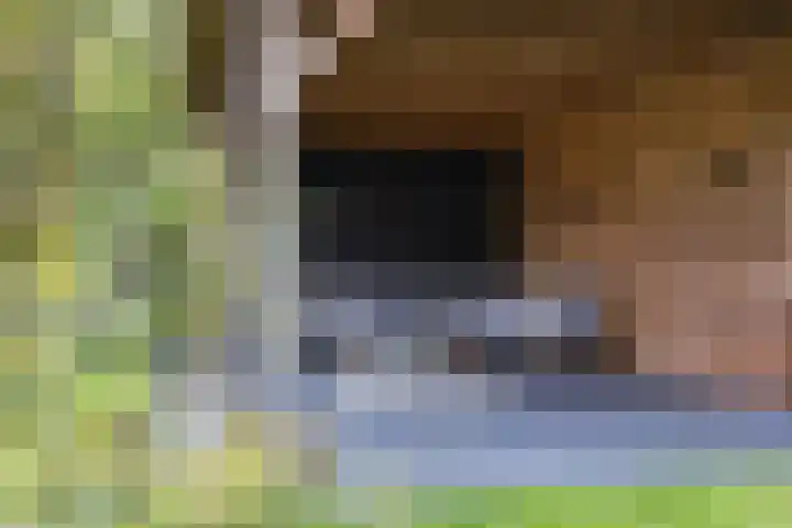 Nieuwstad 39 Vorden thumbnail 40