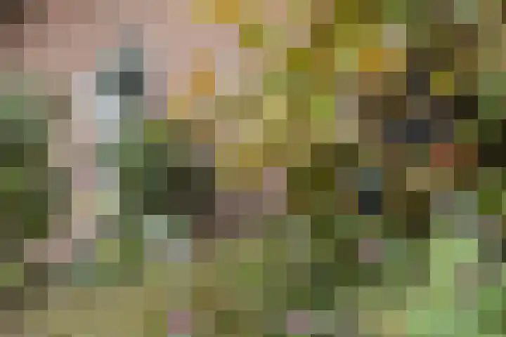 Nieuwstad 39 Vorden thumbnail 42