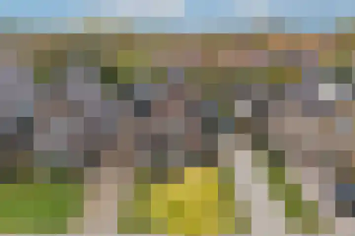 Nieuwstad 39 Vorden thumbnail 43