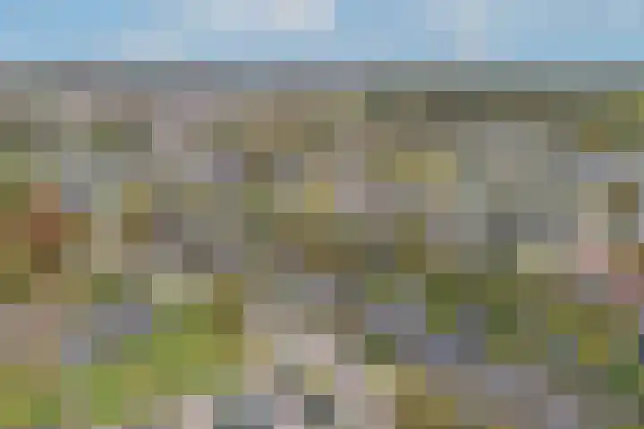 Nieuwstad 39 Vorden thumbnail 44