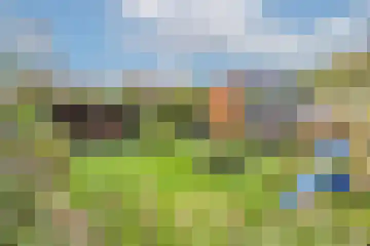 Nieuwstad 39 Vorden thumbnail 5