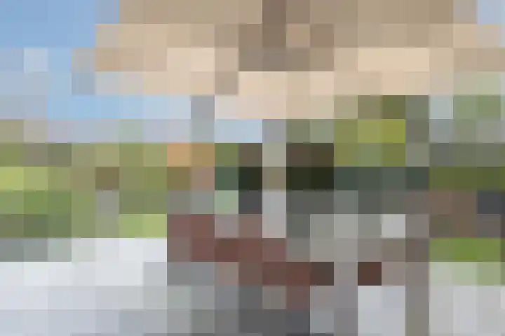 Nieuwstad 39 Vorden thumbnail 6