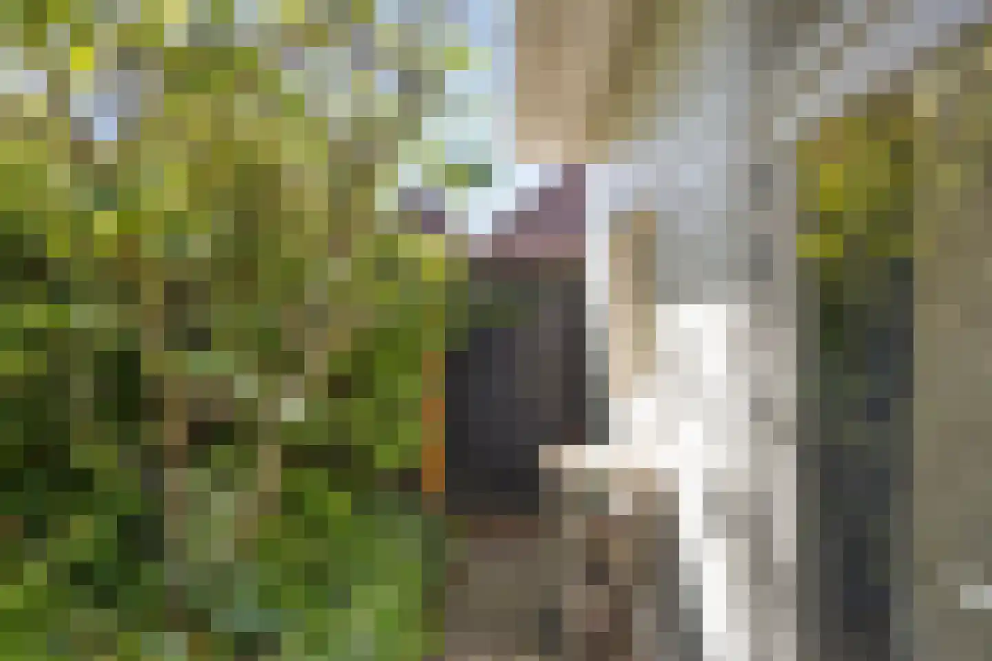 Nieuwstad 4 Brouwershaven thumbnail 15