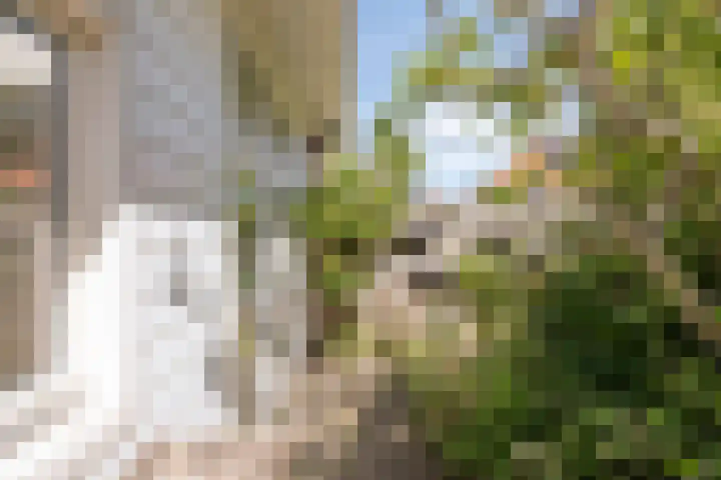 Nieuwstad 4 Brouwershaven thumbnail 16
