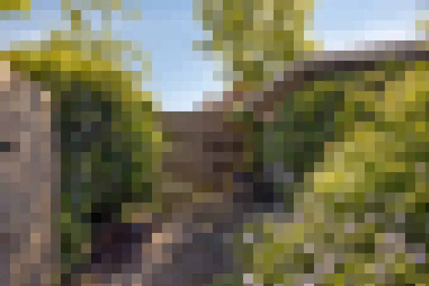 Nieuwstad 4 Brouwershaven thumbnail 17