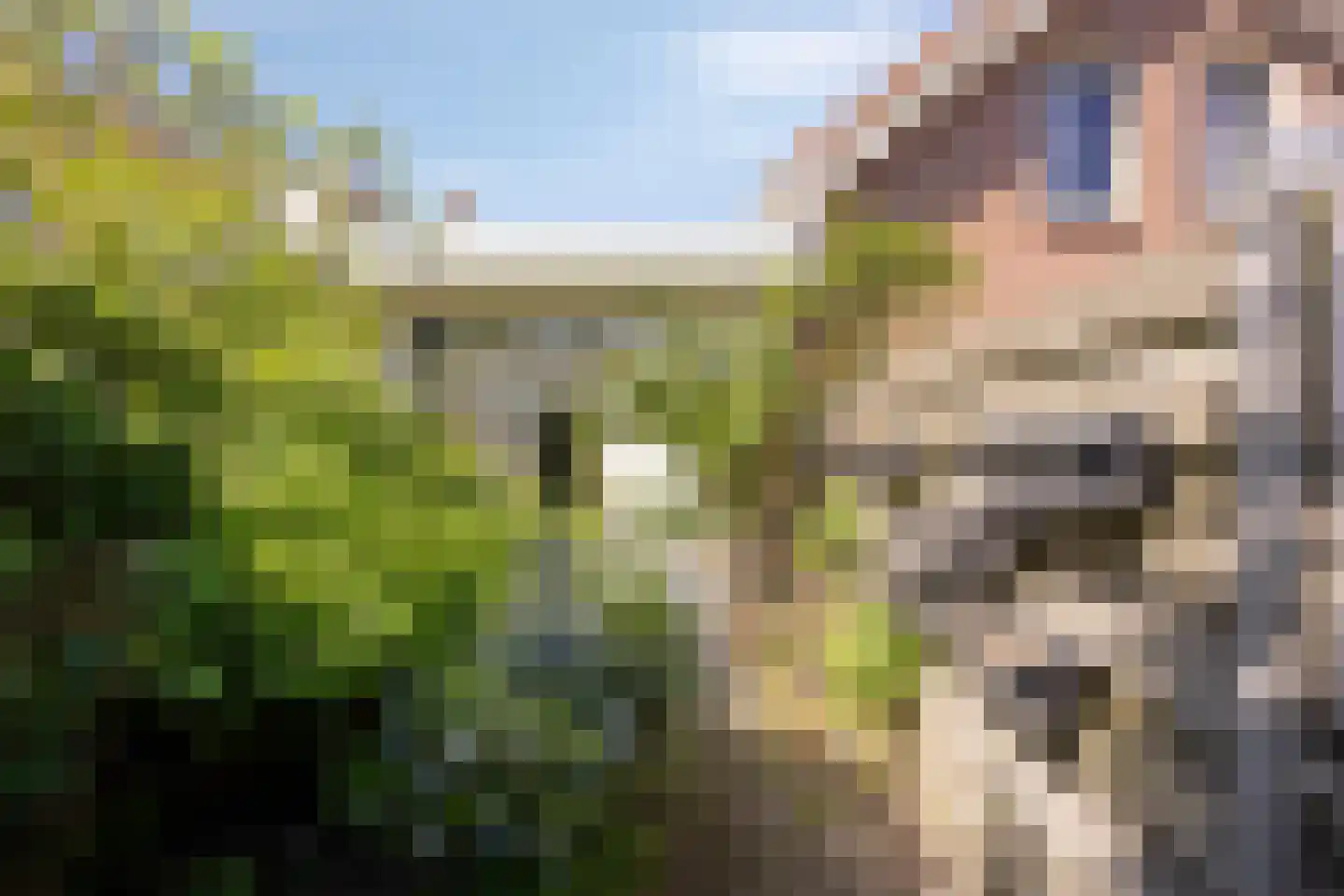 Nieuwstad 4 Brouwershaven thumbnail 18