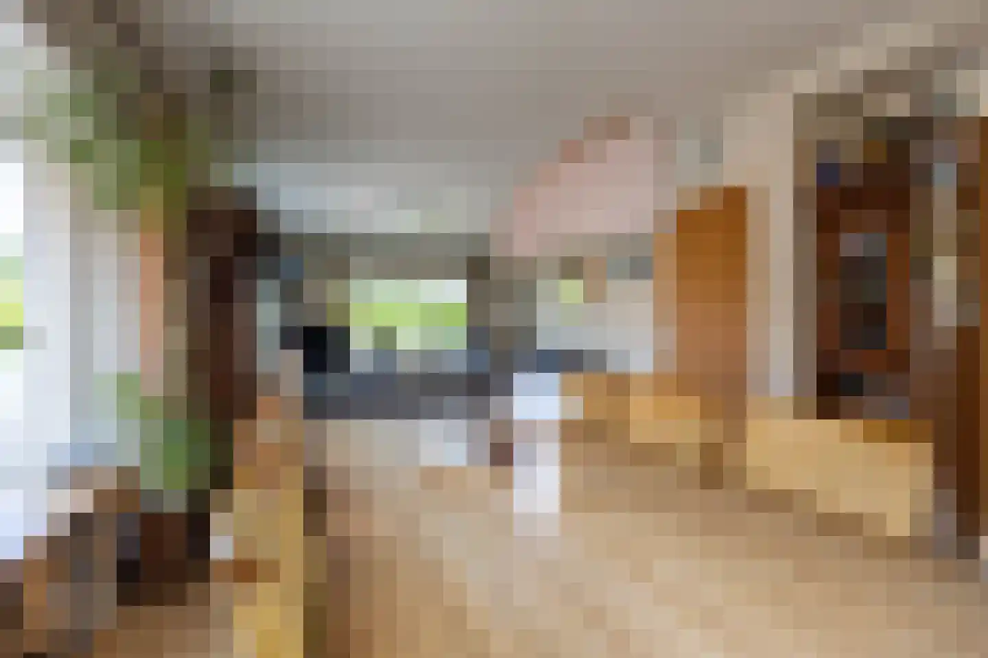 Nieuwstad 4 Garsthuizen thumbnail 16