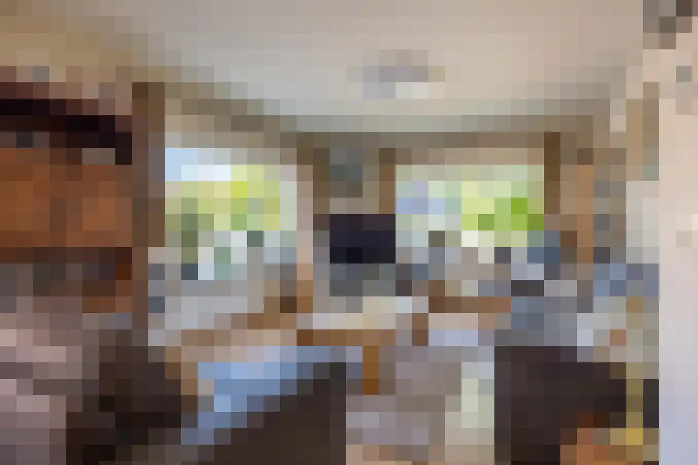 Nieuwstad 4 Garsthuizen thumbnail 17