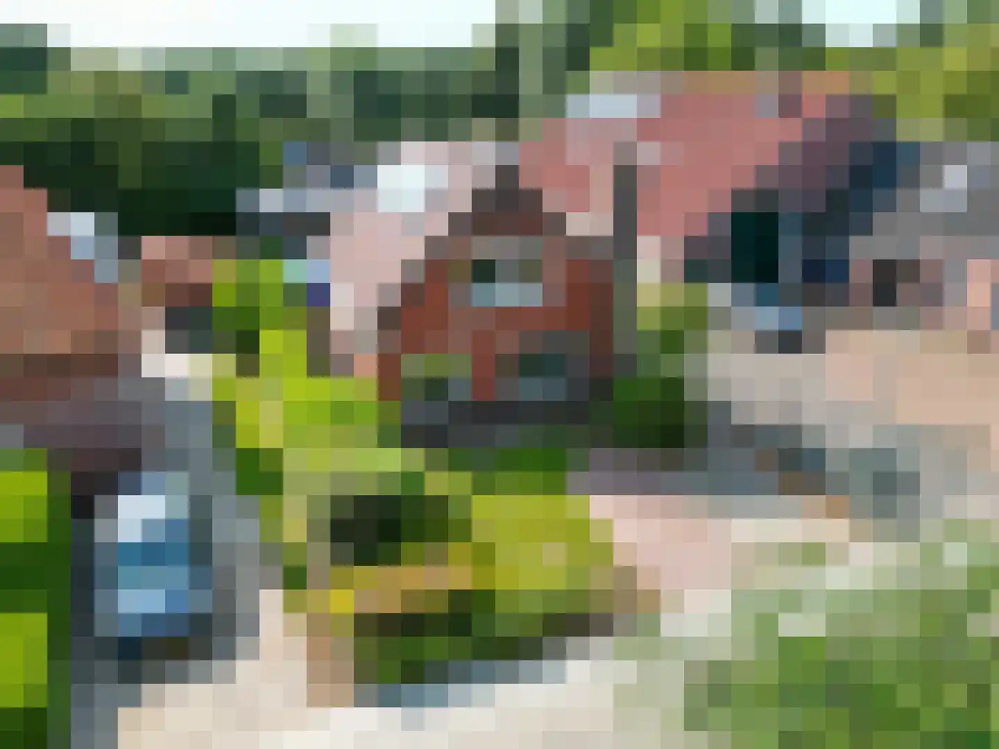 Nieuwstad 4 Garsthuizen thumbnail 5