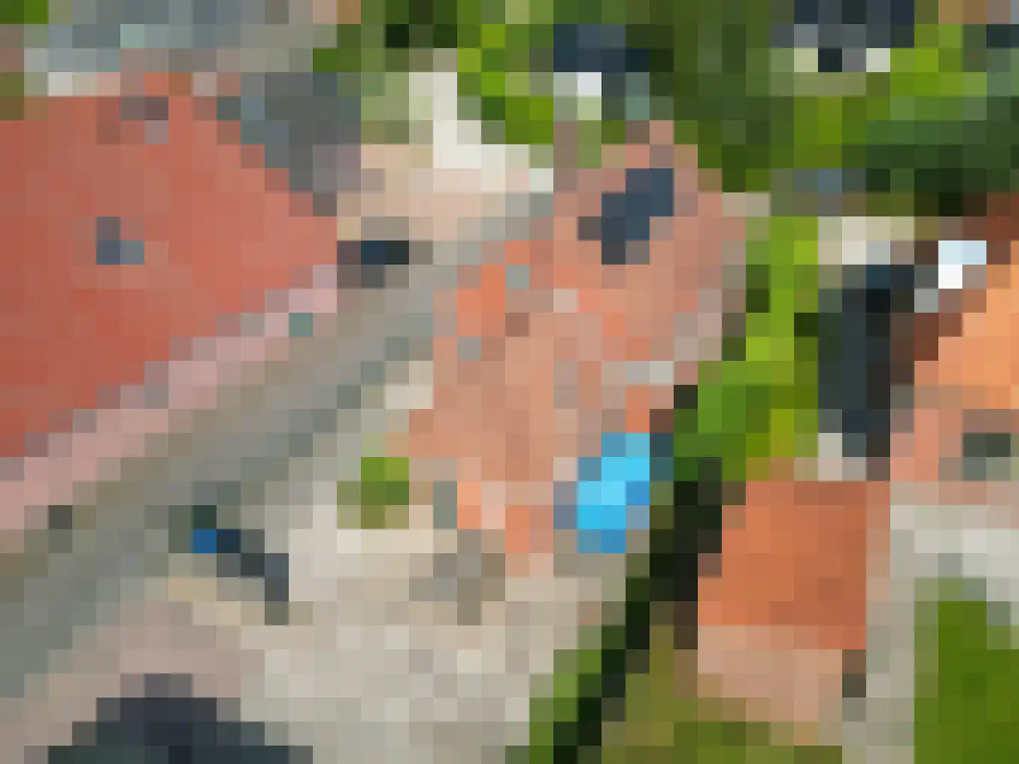 Nieuwstad 4 Garsthuizen thumbnail 7
