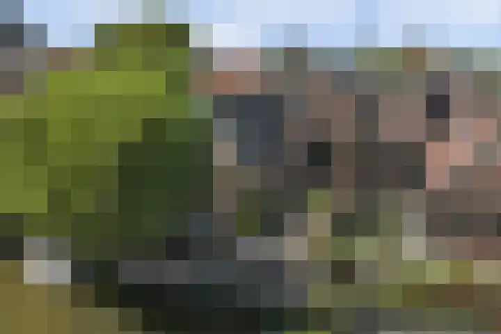 Nieuwstad 4 Hindeloopen thumbnail 21