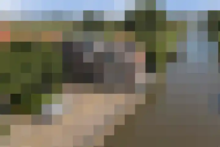 Nieuwstad 4 Hindeloopen thumbnail 5