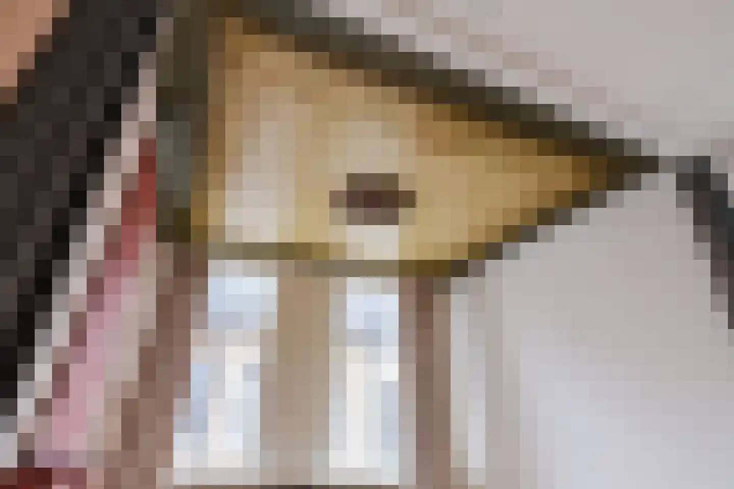 Nieuwstad 47 Arnhem thumbnail 11