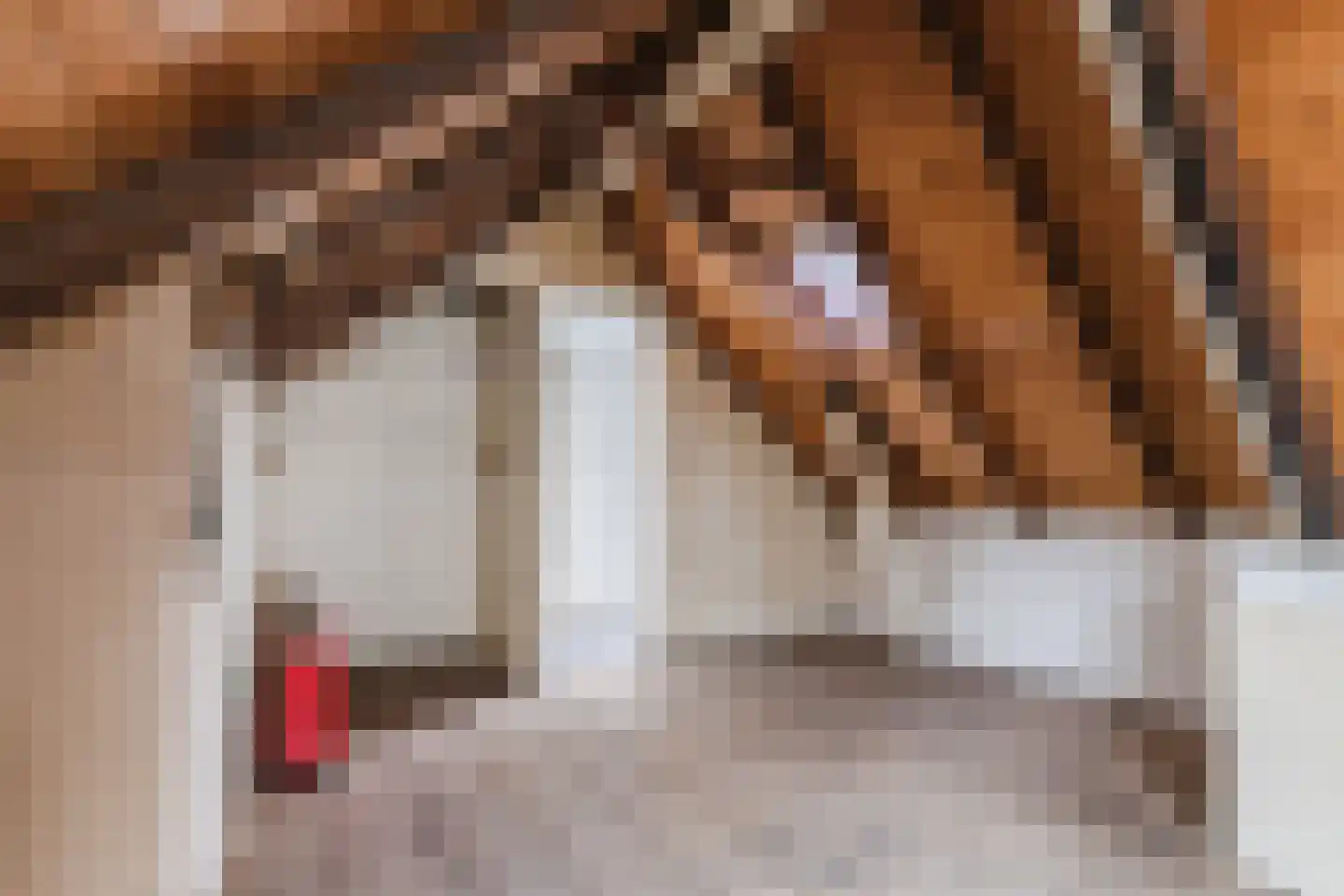 Nieuwstad 47 Arnhem thumbnail 34