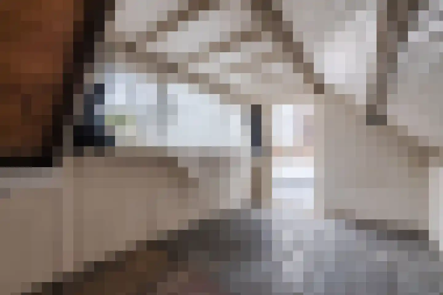 Nieuwstad 47 Arnhem thumbnail 36