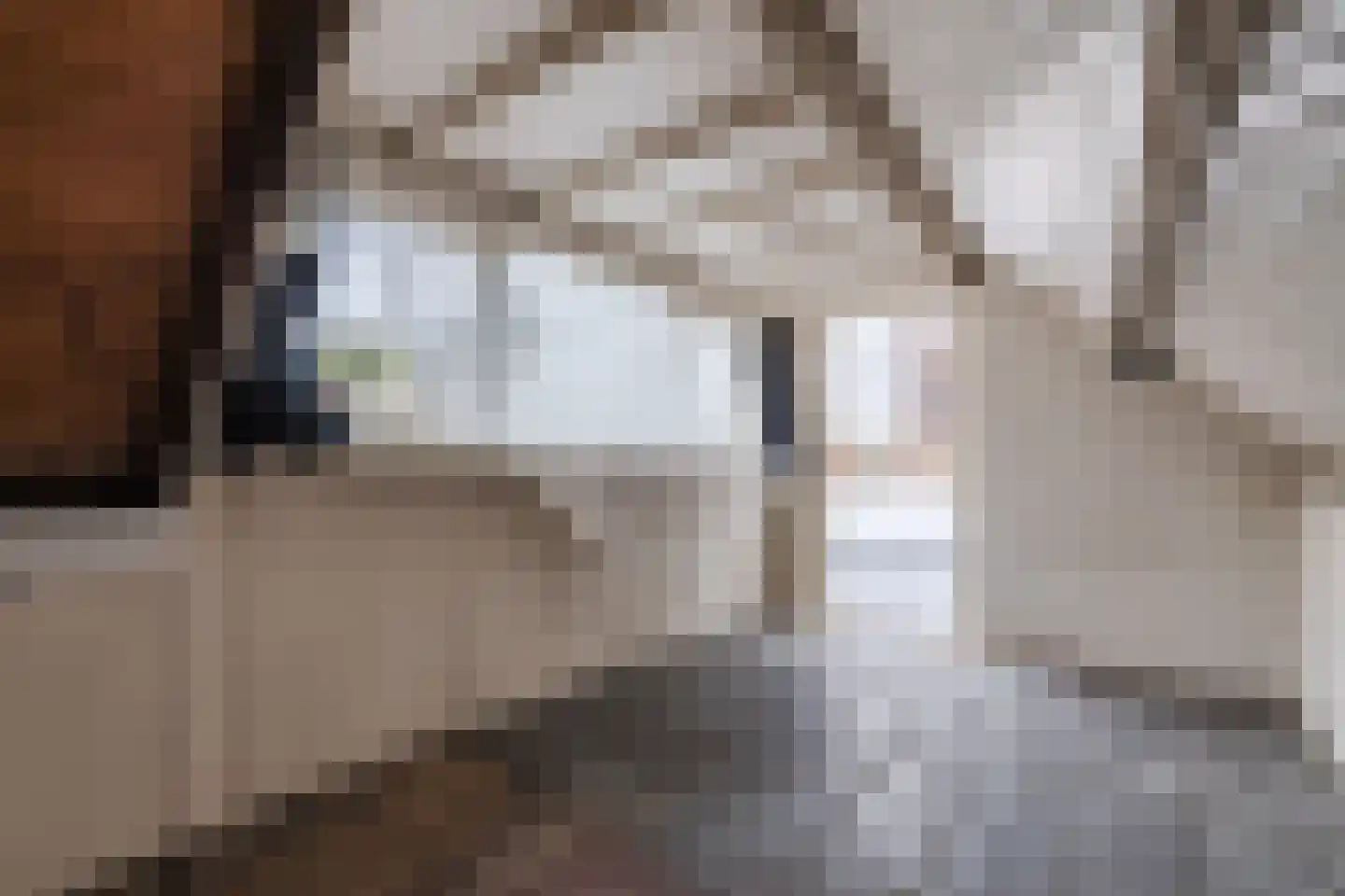 Nieuwstad 47 Arnhem thumbnail 37