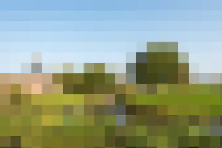 Nieuwstad 5 a Gorinchem thumbnail 11