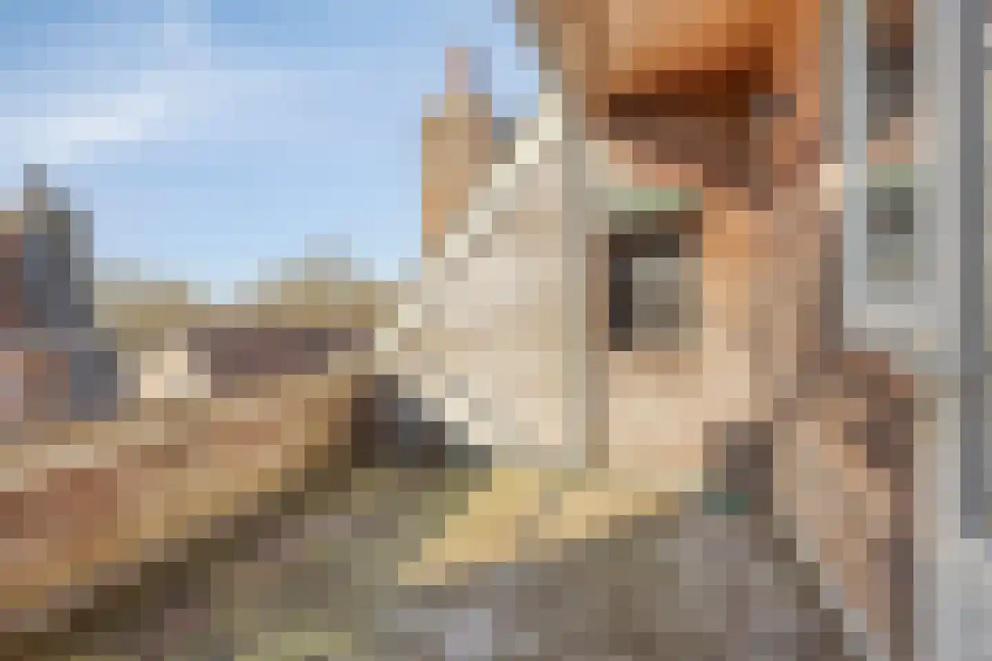 Nieuwstad 53 b Zutphen thumbnail 22