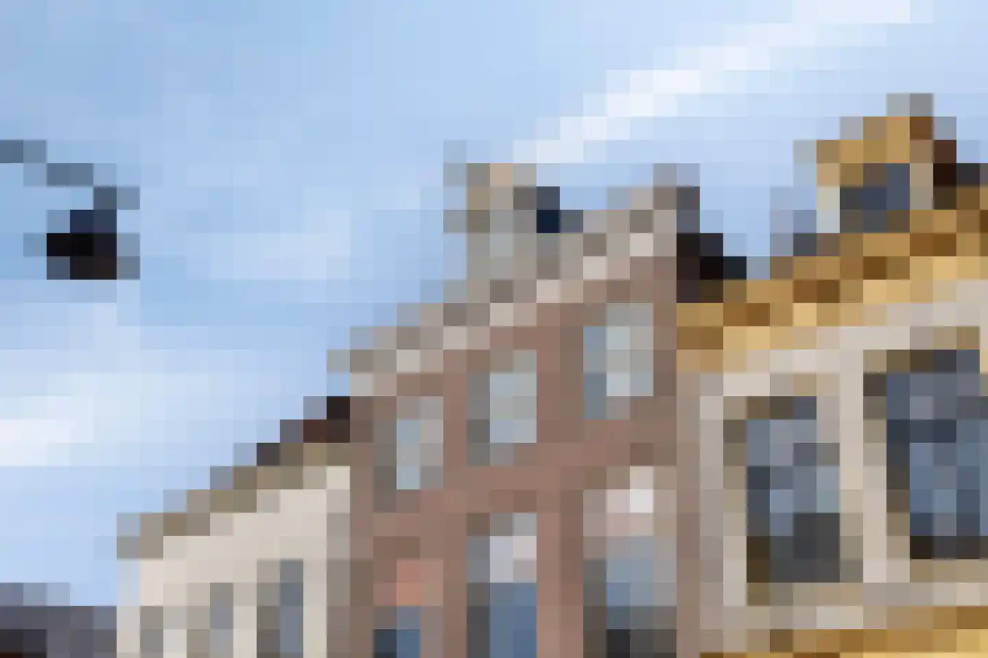 Nieuwstad 53 b Zutphen thumbnail 24